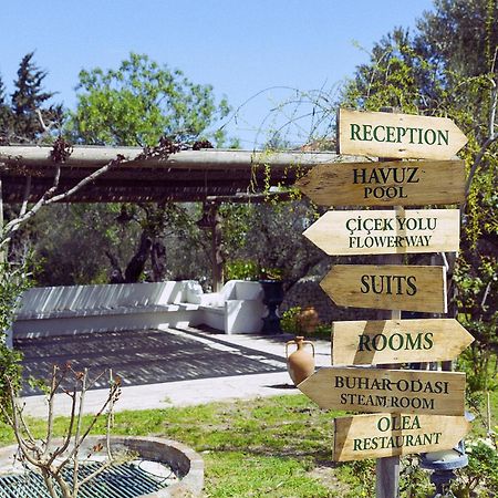 Olive Farm Of Datca Guesthouse (Adults Only) Exteriér fotografie