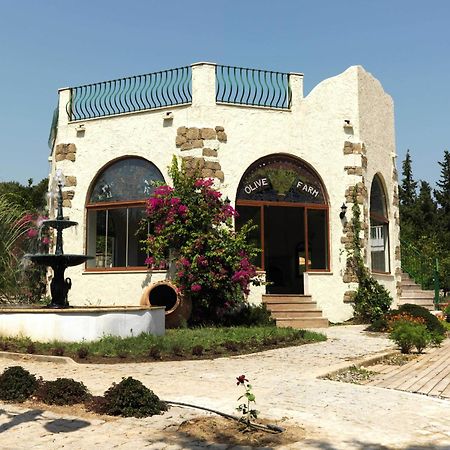 Olive Farm Of Datca Guesthouse (Adults Only) Exteriér fotografie