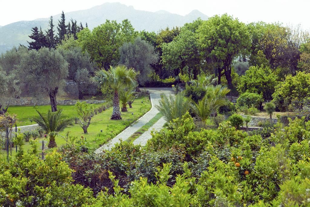 Olive Farm Of Datca Guesthouse (Adults Only) Exteriér fotografie
