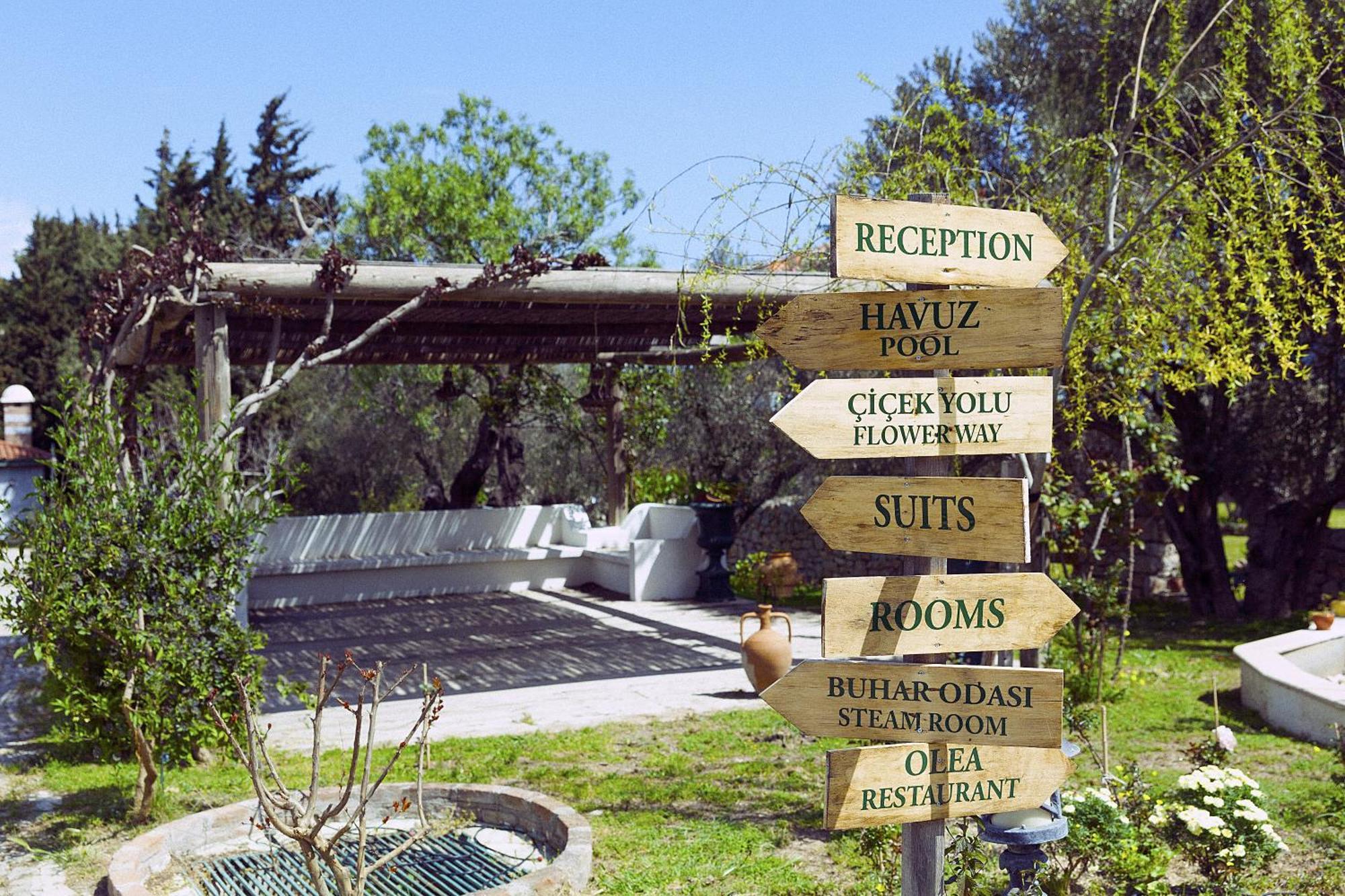 Olive Farm Of Datca Guesthouse (Adults Only) Exteriér fotografie