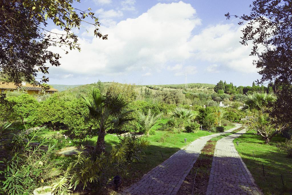 Olive Farm Of Datca Guesthouse (Adults Only) Exteriér fotografie