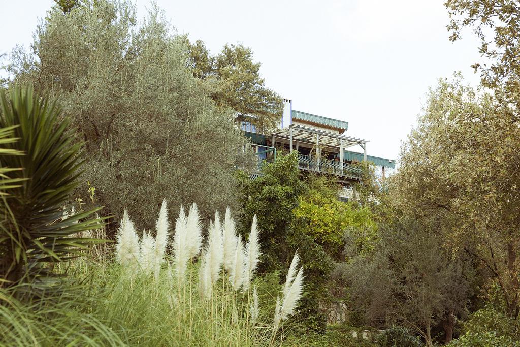 Olive Farm Of Datca Guesthouse (Adults Only) Exteriér fotografie