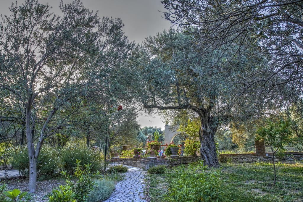 Olive Farm Of Datca Guesthouse (Adults Only) Exteriér fotografie