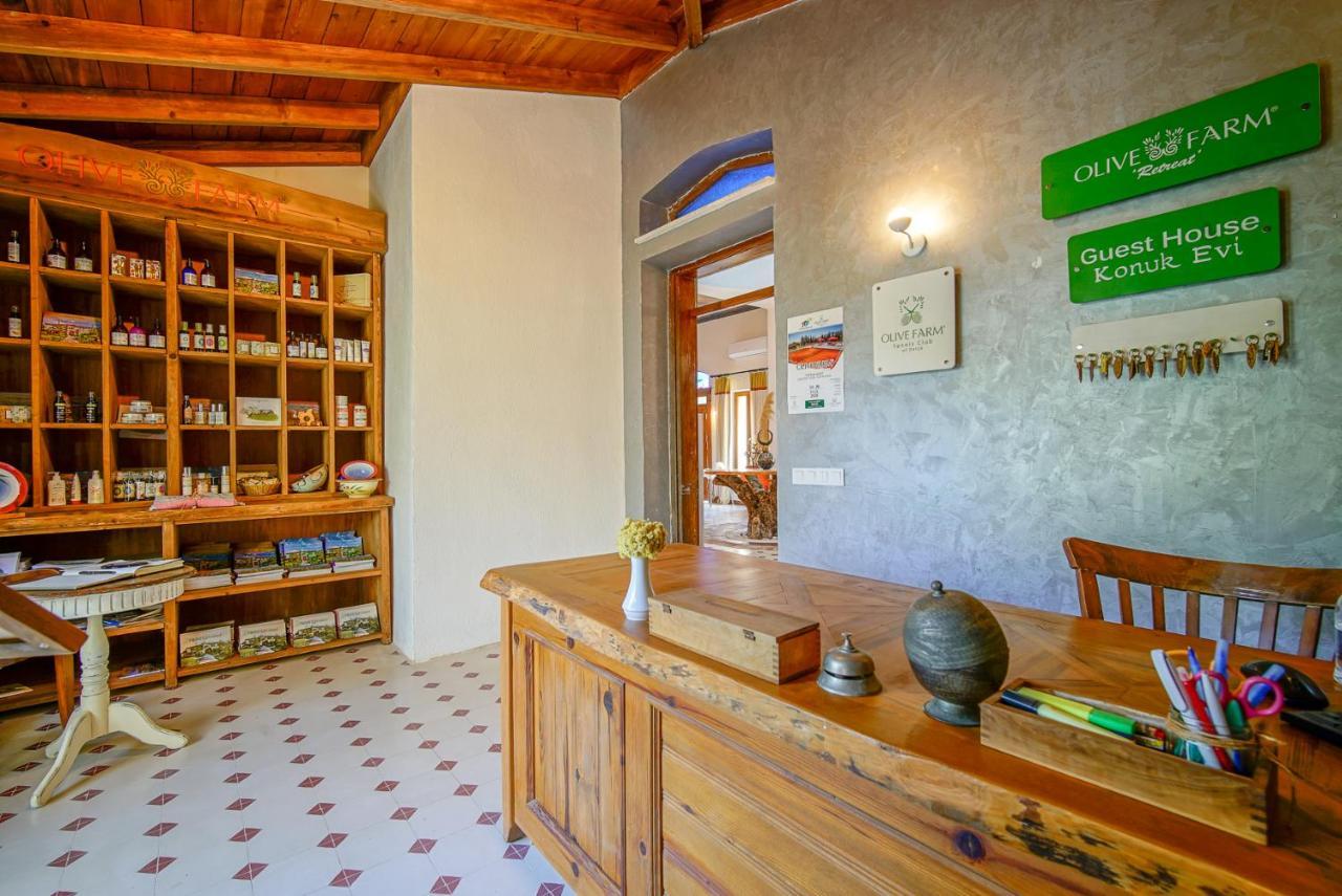 Olive Farm Of Datca Guesthouse (Adults Only) Exteriér fotografie