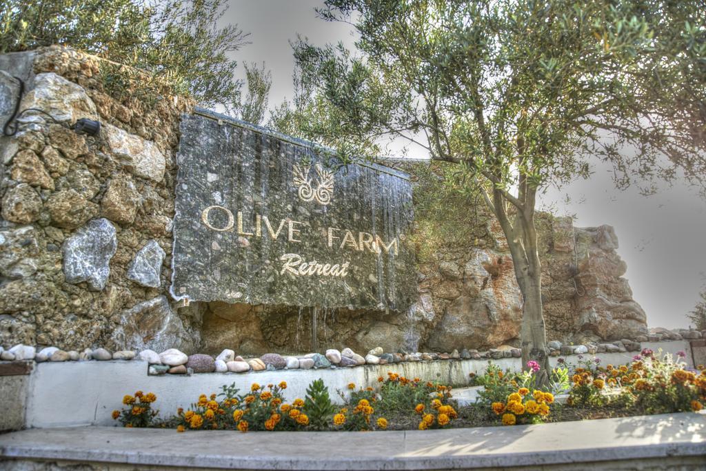 Olive Farm Of Datca Guesthouse (Adults Only) Exteriér fotografie