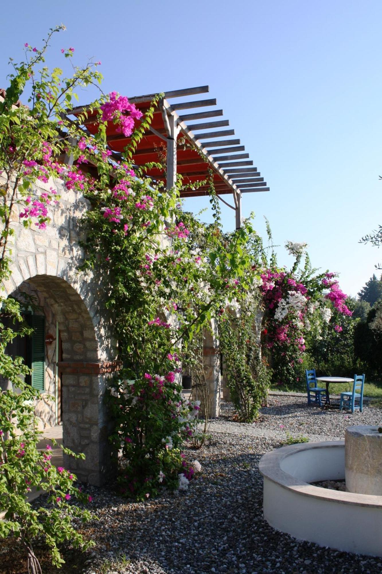 Olive Farm Of Datca Guesthouse (Adults Only) Exteriér fotografie