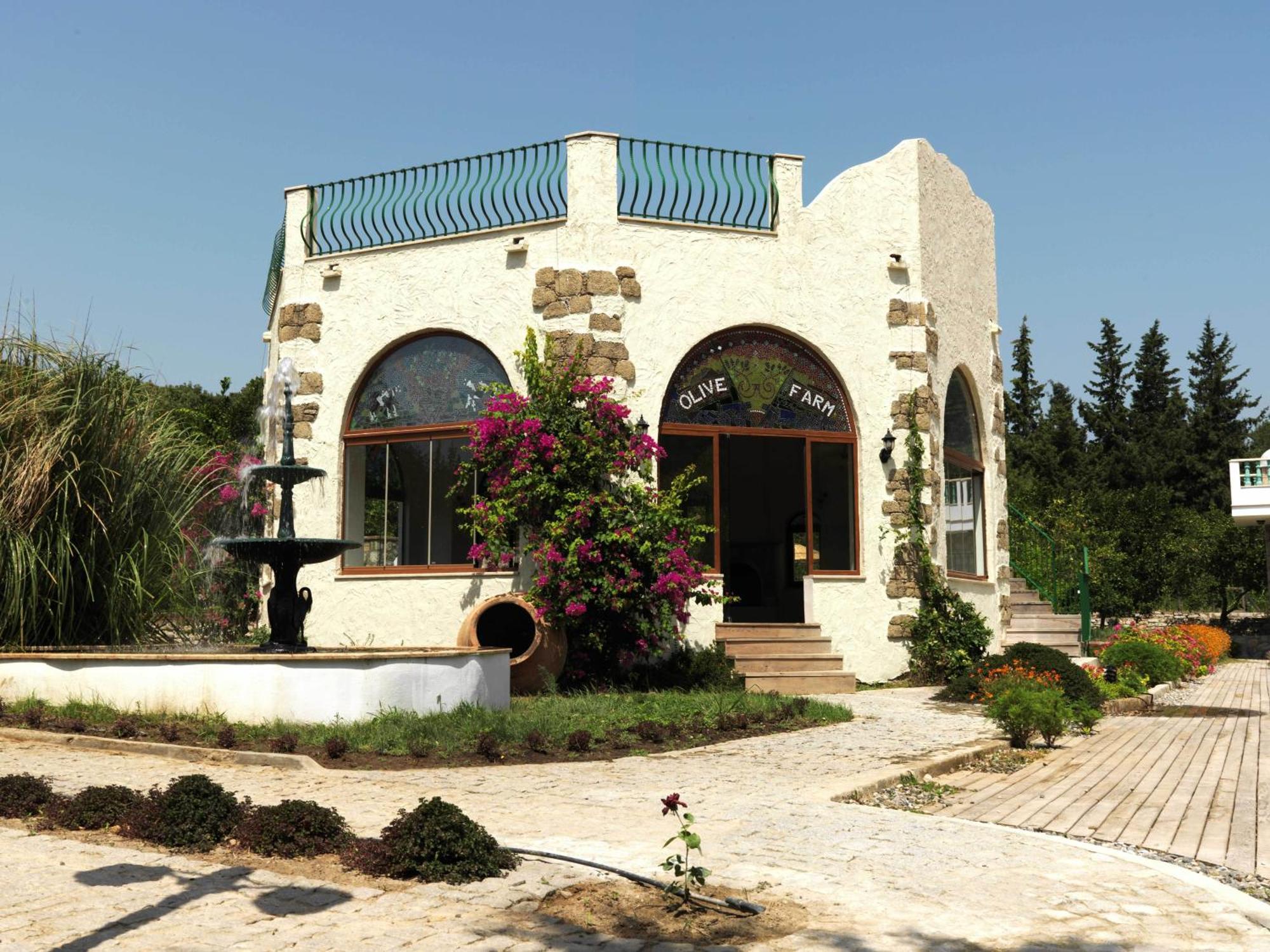 Olive Farm Of Datca Guesthouse (Adults Only) Exteriér fotografie