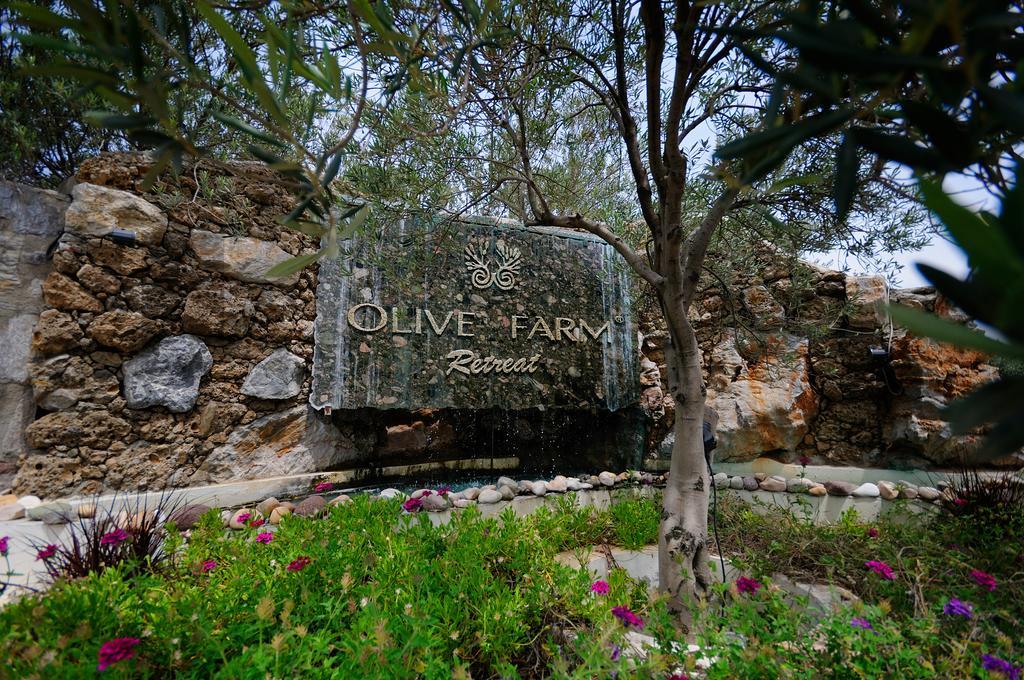 Olive Farm Of Datca Guesthouse (Adults Only) Exteriér fotografie