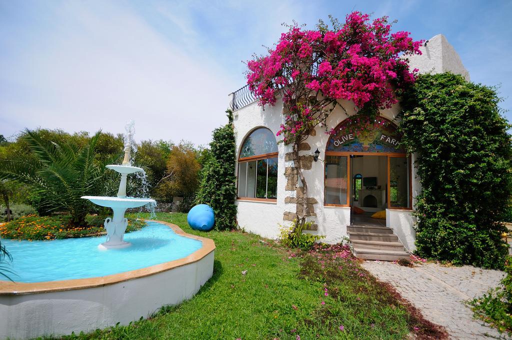 Olive Farm Of Datca Guesthouse (Adults Only) Exteriér fotografie