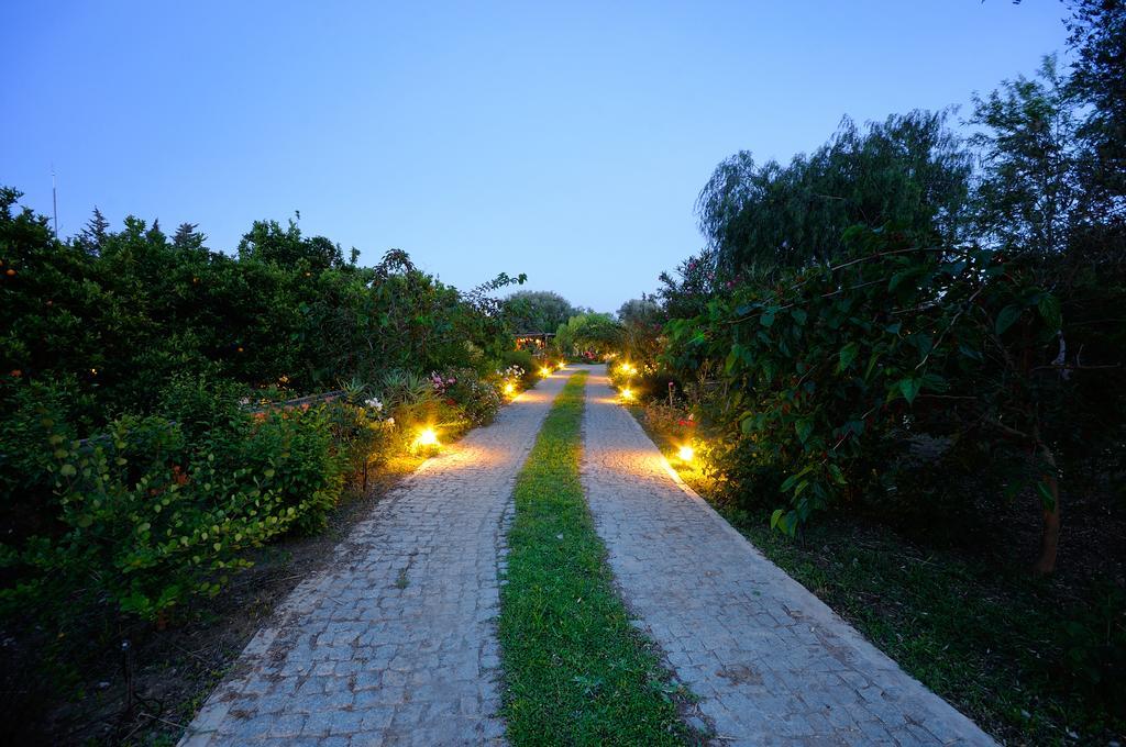 Olive Farm Of Datca Guesthouse (Adults Only) Exteriér fotografie