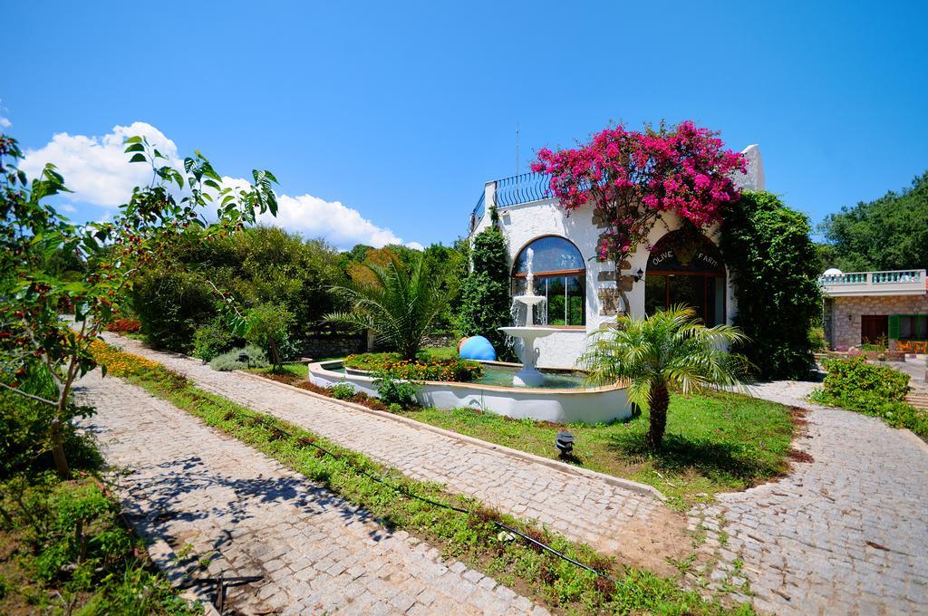 Olive Farm Of Datca Guesthouse (Adults Only) Exteriér fotografie