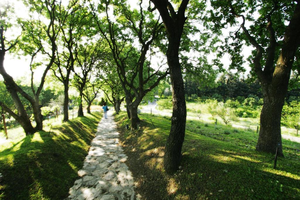 Olive Farm Of Datca Guesthouse (Adults Only) Exteriér fotografie