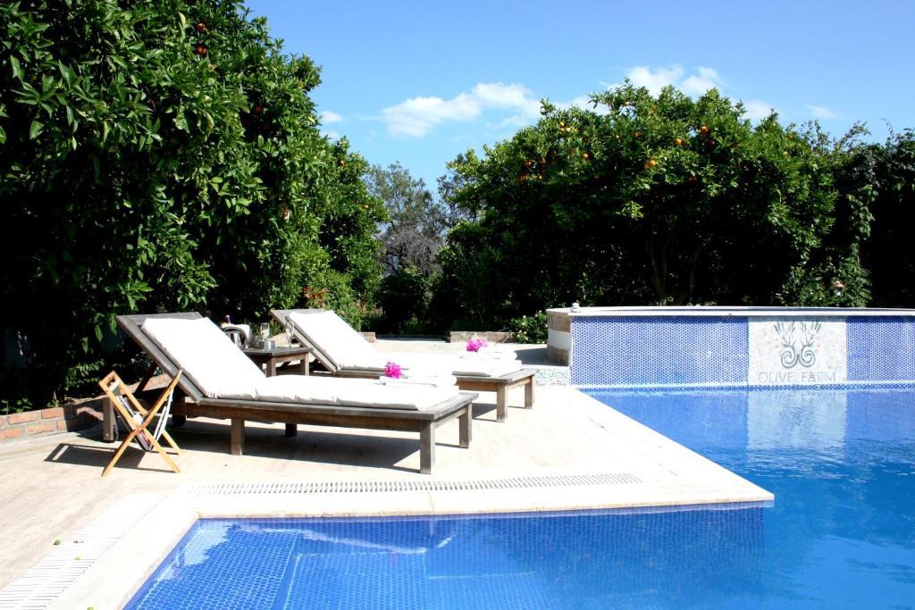 Olive Farm Of Datca Guesthouse (Adults Only) Exteriér fotografie